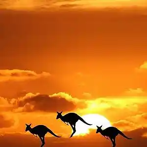 Picture for song 'waltzing matilda' by artist 'barry coleman folk'