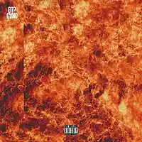 Picture for song '2Much - We Lit (Prod by 2Much)' by artist 'Black Tee Productions'