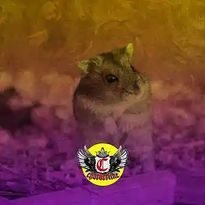Picture for song 'HAMSTER (Hyperpop Type Beat)' by artist 'Chorderline'