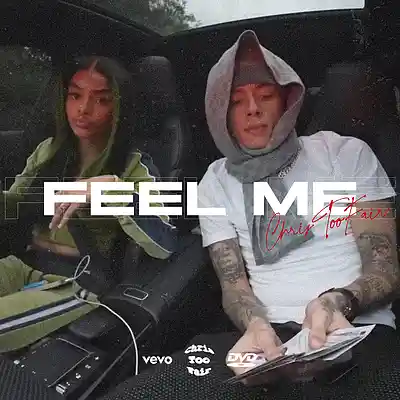Picture for song 'FEEL ME - Central Cee X Sample Drill Type Beat' by artist 'Chris Too Fair'