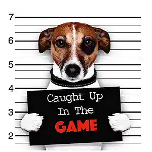 Picture for song 'Caught Up In The Game' by artist 'Ed Music LLC'