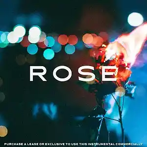 Picture for song 'Rose (Deep House)' by artist 'iden'