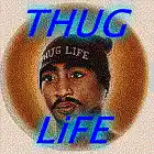 Picture for song 'Less Than 60 Seconds 2 Live' by artist 'Kryptical420'