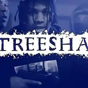 Picture for song 'Treesha 150 BPM Prod Schiri Beats' by artist 'Schiri Beats'