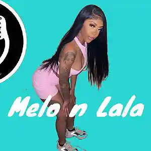 Picture for song 'Melo n LaLa [NY Drill x UK Grime]' by artist 'Beats by BruceDayne'