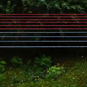 Picture for song 'My Forest. 2099' by artist 'Big Albert'