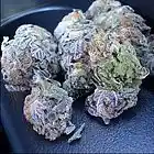 Picture for song '*SMOOTH* Purple Flowers (FREE DL)' by artist 'Blow-Blow Beats'