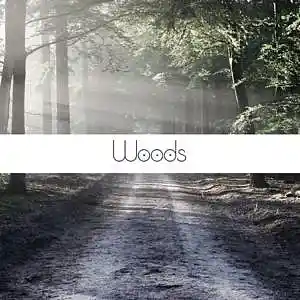 Picture for song 'Woods (Smooth R&B Type Beat) - Devezin.com' by artist 'Devezin'