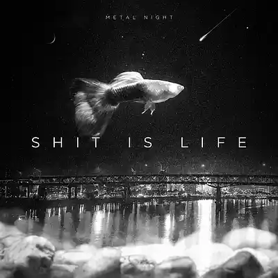 Picture for song 'Shit is life - Demo [1]' by artist 'Metal Night'