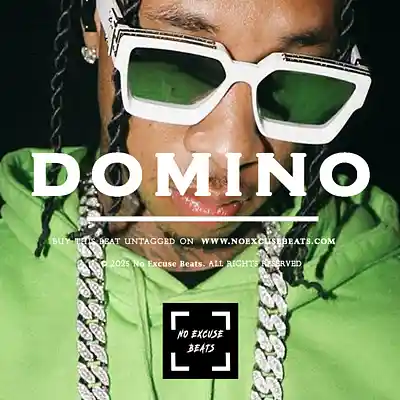 Picture for song 'Tyga "Domino" BUY 2 GET 1 FREE' by artist 'No Excuse Beats'