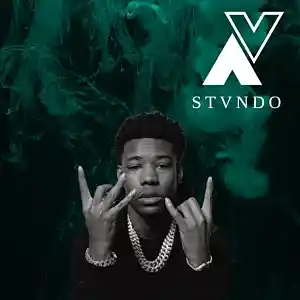 Picture for song 'Nardo Nardo wick type beat 2024' by artist 'STVNDO'
