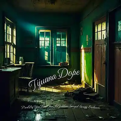 Picture for song 'TIJUANA DOPE' by artist 'YOU-TUNED-INTO-A-GODDAM-STOOPID-SWAGG-EXCLUSIVE'