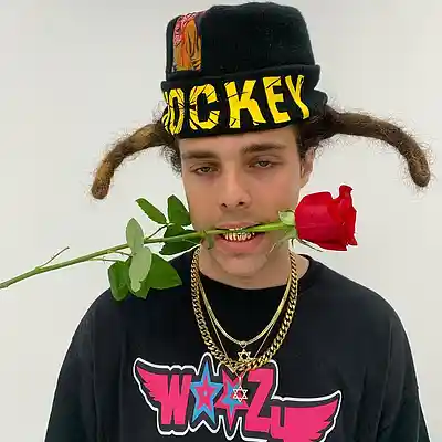 Picture for song 'BLP Kosher Type Beat - Viral' by artist '8xbeatz'