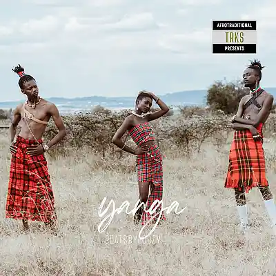 Picture for song 'Yanga' by artist 'BeatsByLorzy'
