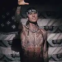 Picture for song 'Free DL *Skys the Limit w/Hook *MGK X Wiz Khalifa' by artist 'BigBoyTraks'