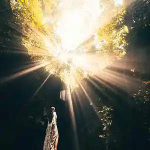 Picture for song 'A Ray of Sunshine' by artist 'Buntarka'