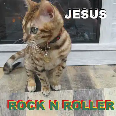Cover picture of song topping the music charts
