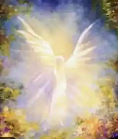 Picture for song 'Your my Angel (version 2)' by artist 'One nation crew'