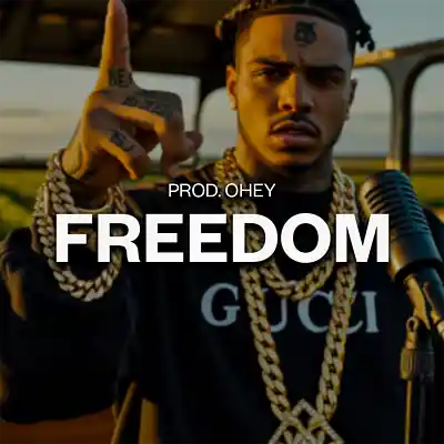 Picture for song 'FREEDOM - BIALAS TYPE BEAT' by artist 'prod.ohey'
