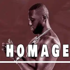 Picture for song 'Homage' by artist 'SeanMurdz'