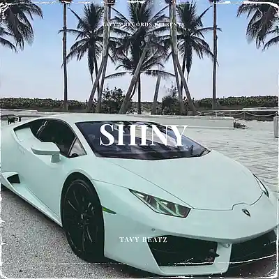 Picture for song 'Shiny' by artist 'TAVY BEATZ'