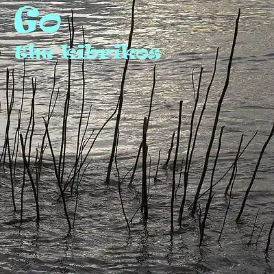 Picture for song 'Go' by artist 'the kibrikos'