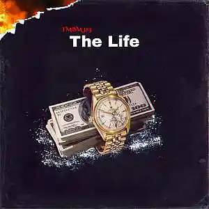 Picture for song 'The Life' by artist 'TMBM313'