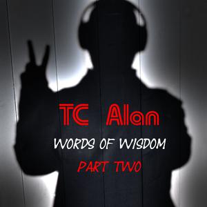 Picture for song 'Lessons Into Blessings (Ft. Nomadic)' by artist 'TC Alan'
