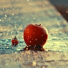 Picture for song 'inside my head.mp3' by artist '5280beats khalilbeatz'