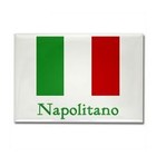 Picture for song '(NEW) - NAPOLITANO ITALIANO - (FREE DOWNLOAD)' by artist 'ArsenBeatzProductions'