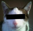 Picture for song 'Track 23 (ReRemastered)' by artist 'HmanMusic'