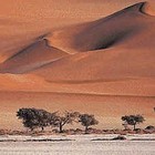 Picture for song 'Wind and Withering' by artist 'boomaga'