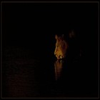 Picture for song '14.The Ghosts In The Darkness' by artist 'BreakTrailz'