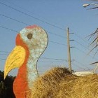 Picture for song 'Tom' by artist 'Calvin Stewart'