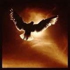 Picture for song 'Were I An Eagle' by artist 'Captain Conrad Sells'
