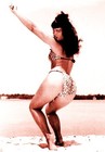Picture for song 'Hip Cat Dynamite' by artist 'Cha Cha's Cadillac'