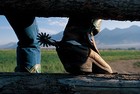 Picture for song 'LIFE IS GOOD' by artist 'DEE ROCK COUNTRY'
