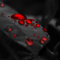 Picture for song 'HEYSL *Street Lease' by artist 'Def Street'