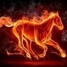 Picture for song 'Giddy Up (collab Renee Anderson / DHW)' by artist 'DHW'