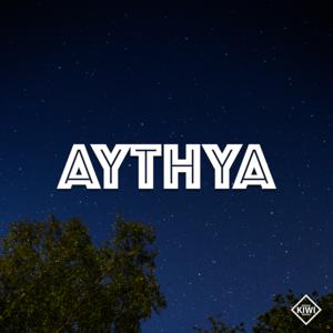 Picture for song 'Aythya - CLIP' by artist 'DJ Kiwi'