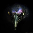 Picture for song 'Ravens (2011)' by artist 'ErASMUSic'