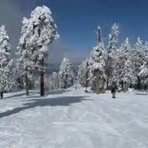 Picture for song 'Ski Week' by artist 'Gagmesharkoff'