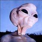 Picture for song 'Married to the money' by artist 'Kal on the Beat'