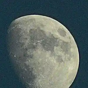 Picture for song 'Vox Schulzium' by artist 'LARZNEW'