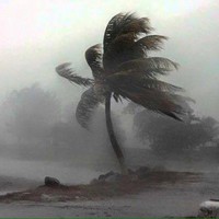 Picture for song 'cyclone' by artist 'lil ponyboy'