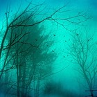Picture for song 'Icecream (Autumn Cold)' by artist 'Living Light'