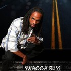 Picture for song 'Lytez Out Entertainment (Swagga B)-Swagga - Swagg' by artist 'Lytez Out'