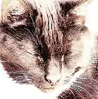 Picture for song 'Wherever I Go' by artist 'Mar-Cie'