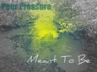 Picture for song 'Meant To Be' by artist 'Mike Maxim aka Peer Pressure'