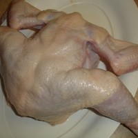 Picture for song 'Chicken and Cheese ' by artist 'ML's Lab'